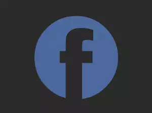 Výpadek Fb