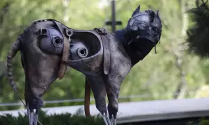 Mrazík Andrei Stapran